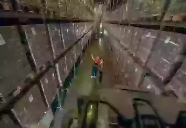 Managing Massive Shipments: Strategies for Grocery and Food Vendors with More Than 2,000 Cartons